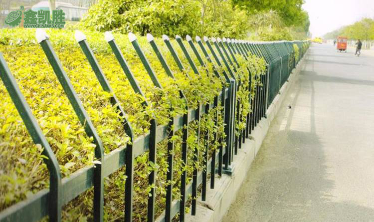 熱鍍鋅噴塑護欄廠家-猫咪官网